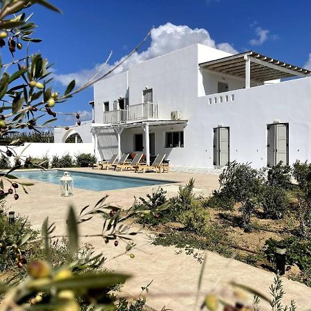 White Pearl Villa Naxos With Private Swimming Pool Naxos City 외부 사진