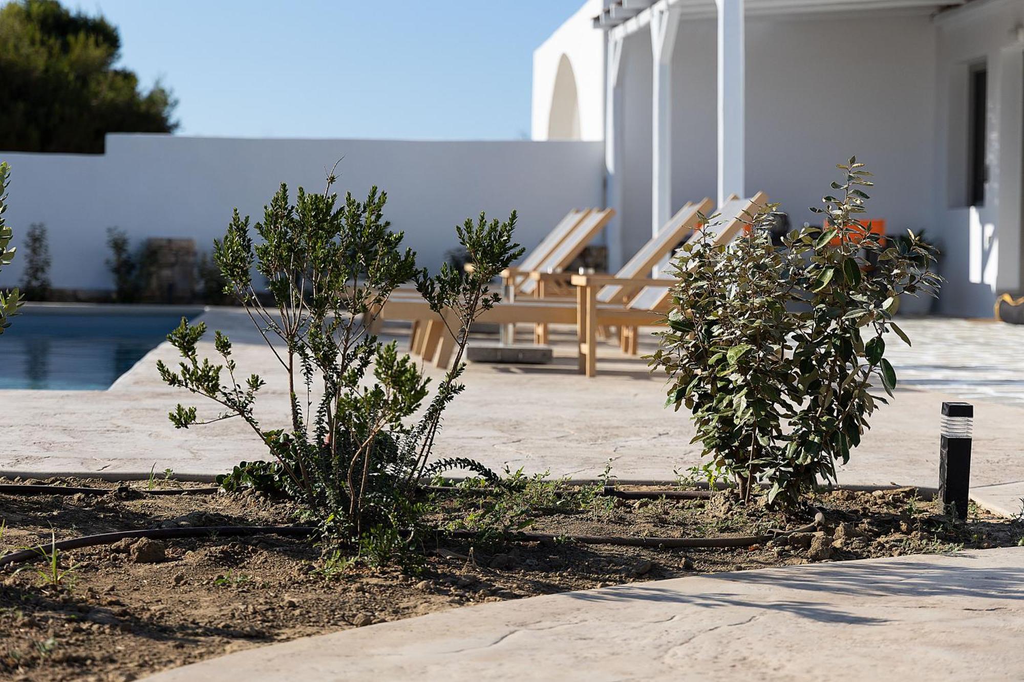 White Pearl Villa Naxos With Private Swimming Pool Naxos City 외부 사진