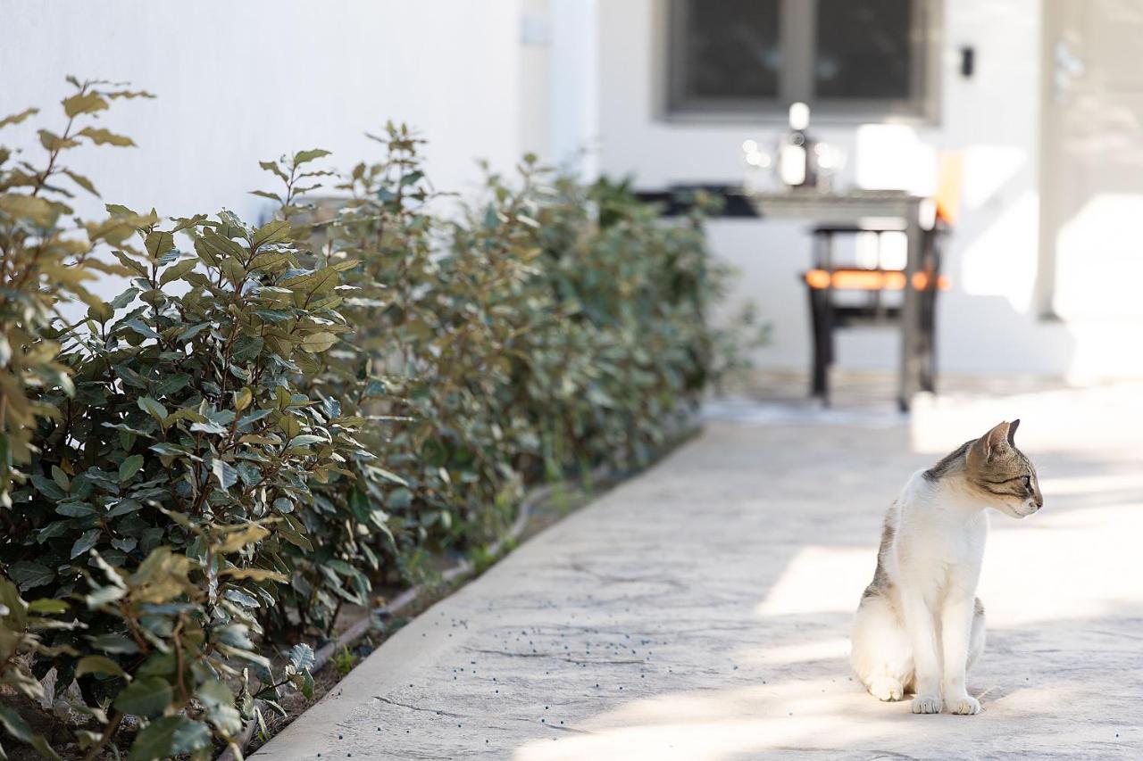 White Pearl Villa Naxos With Private Swimming Pool Naxos City 외부 사진