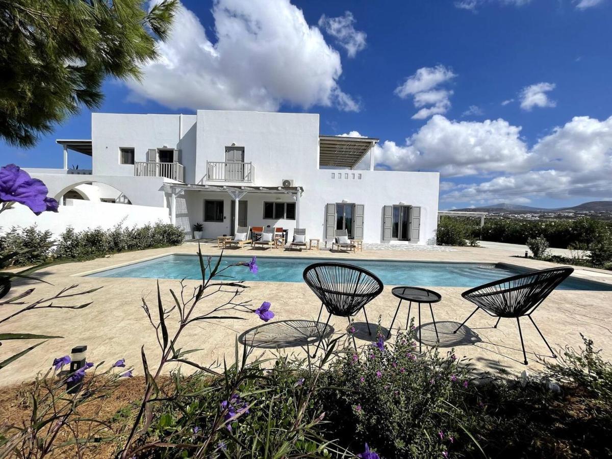 White Pearl Villa Naxos With Private Swimming Pool Naxos City 외부 사진