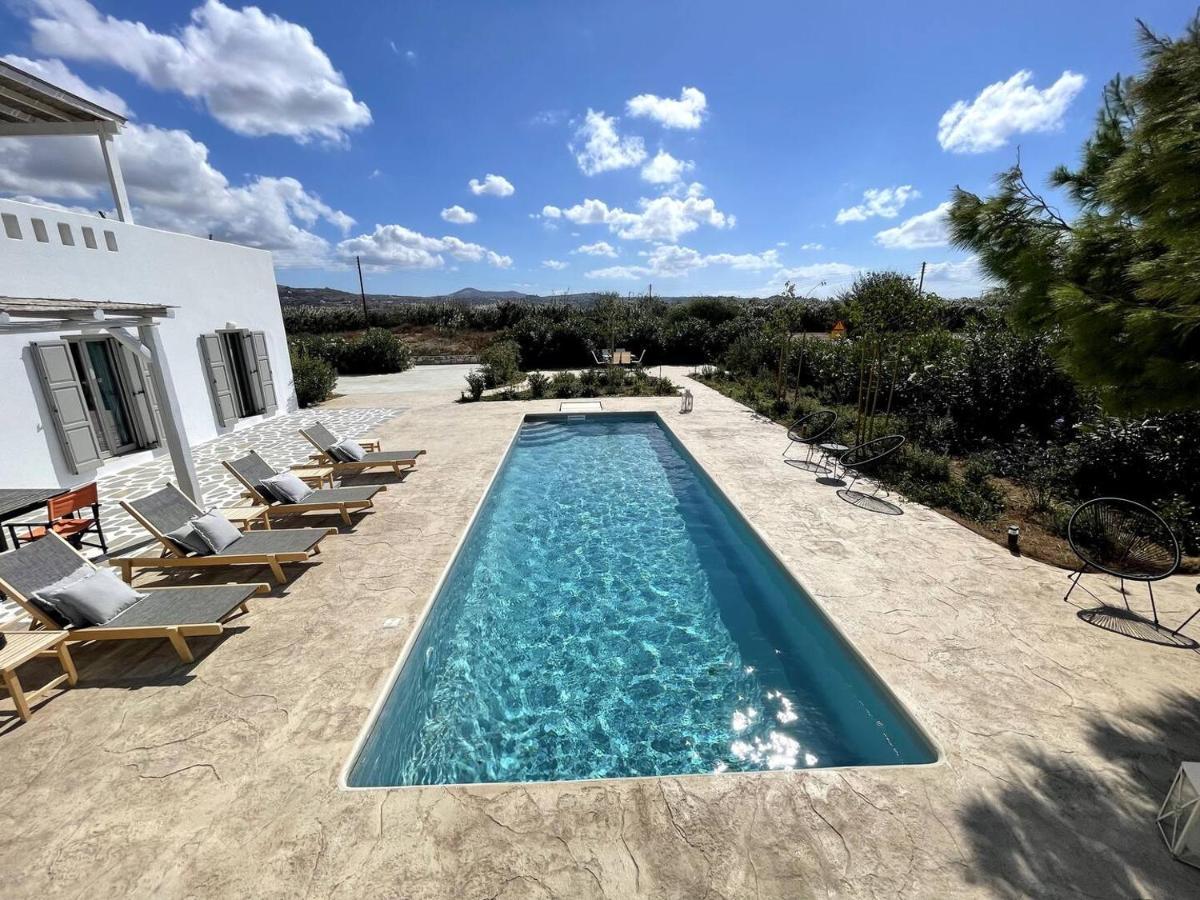 White Pearl Villa Naxos With Private Swimming Pool Naxos City 외부 사진